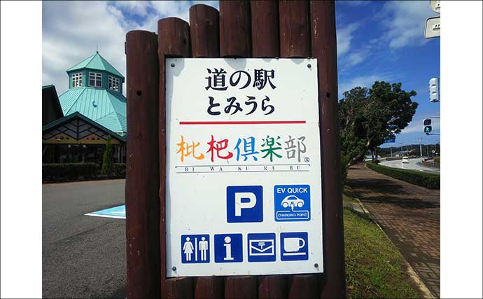 「車横付けが嬉しい！」ファミリーフィッシング好釣り場：館山港の砂揚げ場【千葉】