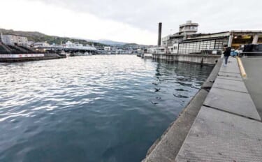 関東エリアのおすすめサビキ釣り場：小田原漁港（早川港）　都心からアクセ…