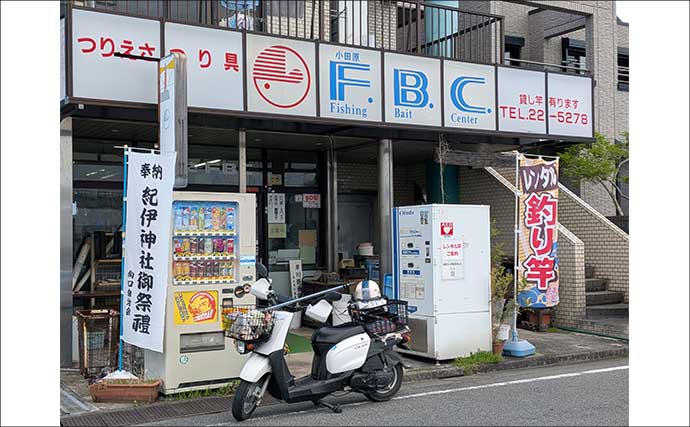 関東エリアのおすすめサビキ釣り場：小田原漁港（早川港）　都心からアクセス良好で周辺観光も可能