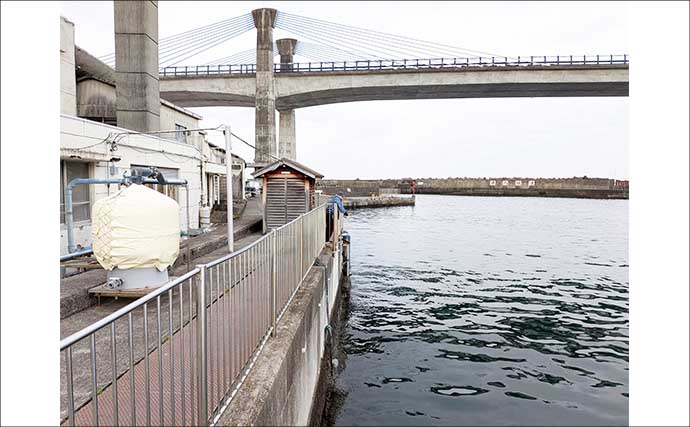 関東エリアのおすすめサビキ釣り場：小田原漁港（早川港）　都心からアクセス良好で周辺観光も可能
