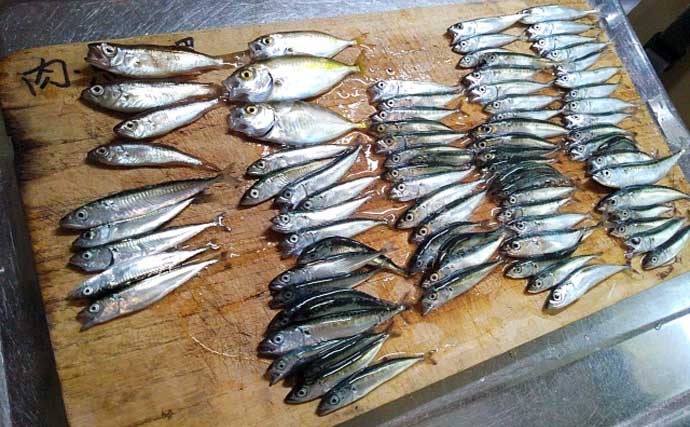 関東エリアのおすすめサビキ釣り場：小田原漁港（早川港）　都心からアクセス良好で周辺観光も可能