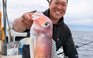 沖五目釣りでアマダイにアオナにチカメキントキと多彩魚が好反応【船のエサ…