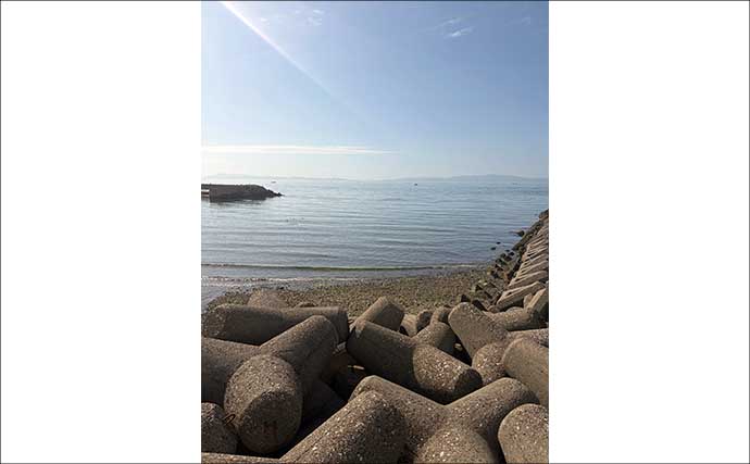 2026年の春は大阪湾沿岸にアジの回遊なし？　5月中旬までは可能性あり