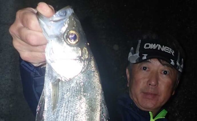 「ヒラスズキ釣りシーズン到来」夜の電気ウキ釣りで45cm頭に本命連発【上天草・熊本】