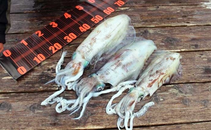 春のボートエギングにはショア（陸っぱり）用ロッドがオススメ？ 現役船長に理由を聞いてみた