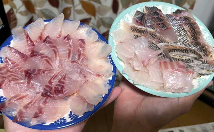 「脂ノリノリ！」磯フカセ釣りで40cm超え大型イサキ浮上【ふかしま丸・大分】クロも連発