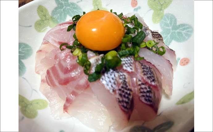 「脂ノリノリ！」磯フカセ釣りで40cm超え大型イサキ浮上【ふかしま丸・大分】クロも連発