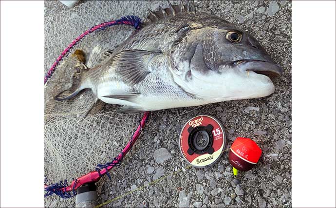釣り歴20年の釣り人がハリス（釣り糸）『シーガー』シリーズを愛用するワケとは？