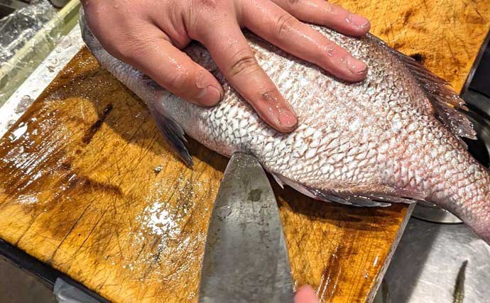 「味が変わる！」板前が実践する【魚の下処理法・捌き方の基本・冷蔵庫での保存法】を徹底解説