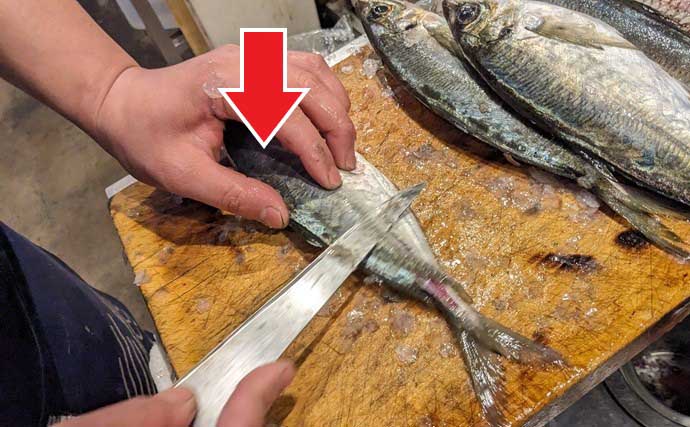 「味が変わる！」板前が実践する【魚の下処理法・捌き方の基本・冷蔵庫での保存法】を徹底解説