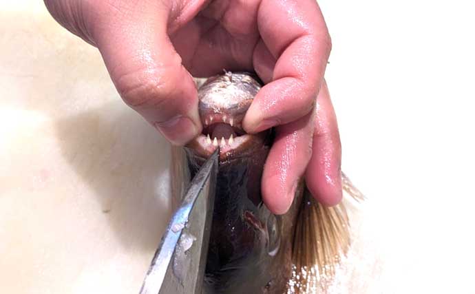 「味が変わる！」板前が実践する【魚の下処理法・捌き方の基本・冷蔵庫での保存法】を徹底解説