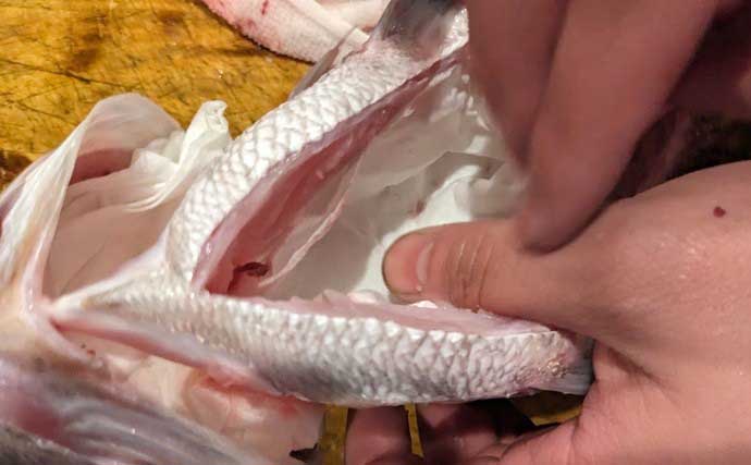 「味が変わる！」板前が実践する【魚の下処理法・捌き方の基本・冷蔵庫での保存法】を徹底解説