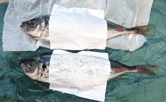 「味が変わる！」板前が実践する【魚の下処理法・捌き方の基本・冷蔵庫での保存法】を徹底解説