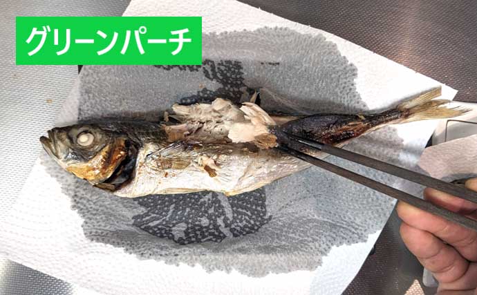 「味が変わる！」板前が実践する【魚の下処理法・捌き方の基本・冷蔵庫での保存法】を徹底解説