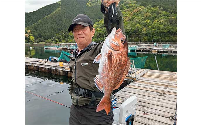 海上釣り堀で美味魚「シマアジ」に挑戦【貞丸・三重】本命5匹にマダイ7匹を好捕！
