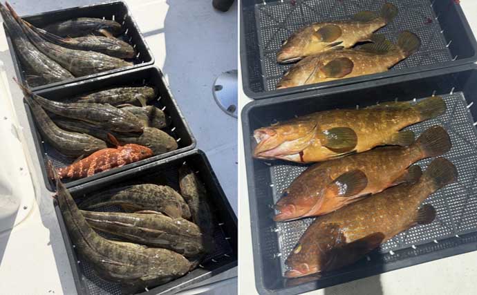 伊勢湾内サワラシーズンが開幕！87cm良型浮上【沖のルアー釣果速報8選・愛知】