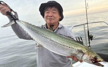 伊勢湾内サワラシーズンが開幕！87cm良型浮上【沖のルアー釣果速報8選…