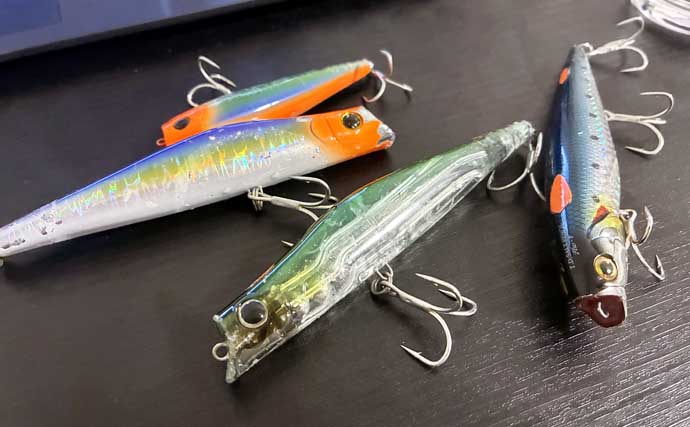 磯でのルアー釣りで本命ヒラスズキと対面成功！【和歌山】ルアー止めたタイミングでヒット