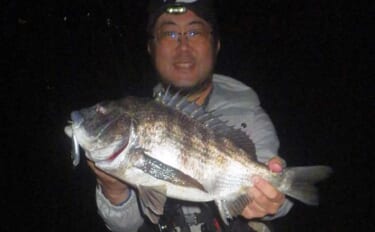 浜名湖・陸っぱりルアー釣果情報　小型のプラグルアーにクロダイ・キビレが…