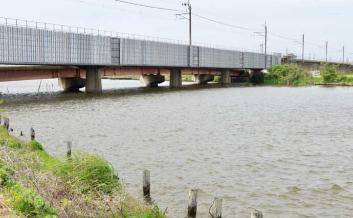 今週のヘラブナ「ピックアップ」釣り場2026【千葉県・与田浦】