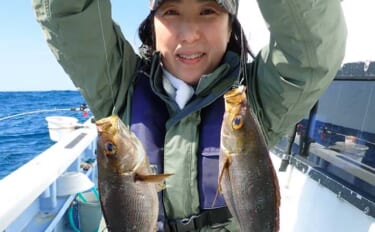 千葉・大原沖のイサキ釣り速報【春日丸】好ゲスト混じりに35cm級デカイ…