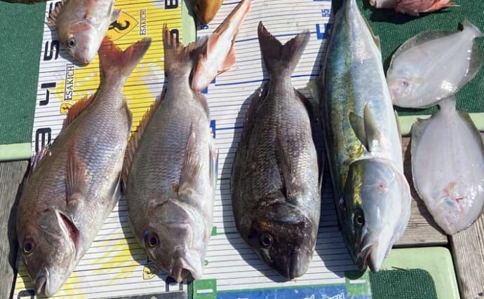 タイラバで本命マダイが船中2桁釣果！【沖のルアー最新情報9選・三重】
