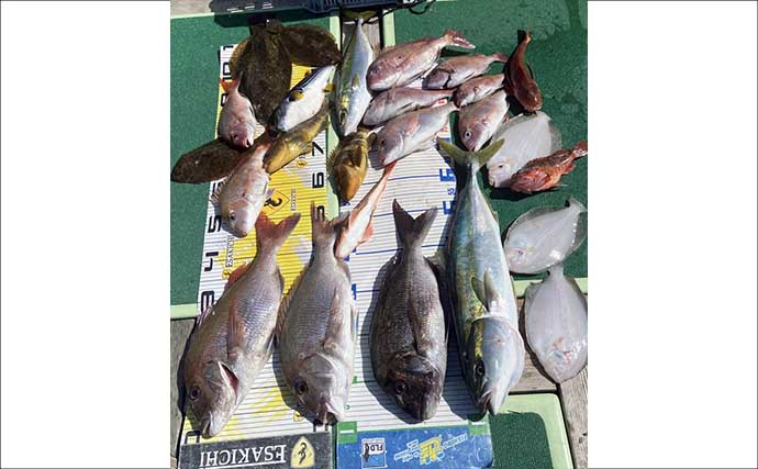 タイラバで本命マダイが船中2桁釣果！【沖のルアー最新情報9選・三重】