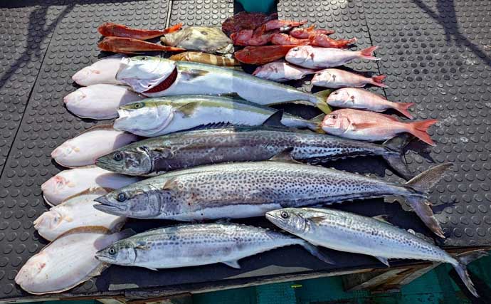 タイラバで本命マダイが船中2桁釣果！【沖のルアー最新情報9選・三重】