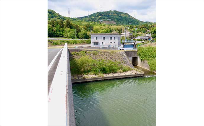 今週のヘラブナ「ピックアップ」釣り場2026【静岡・都田川】