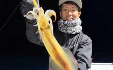 夜イカシーズン好スタート！釣る人100匹オーバー【夜焚きイカ釣り釣果速…