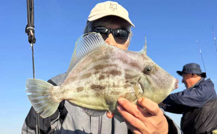 船カワハギ釣り絶好調！30cm超え頭に釣る人50尾【船釣り最新釣果情報5選・大分／熊本】