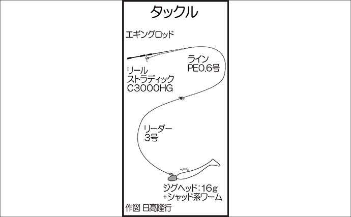 陸っぱりロックフィッシュゲーム釣果レポート：沖堤防でオオモンハタ＆アカハタ好捕【牛深・熊本】