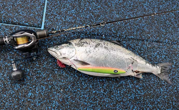 サクラマスジギング釣果レポート：オホーツクエリアで50cm頭にサクラマス6尾！