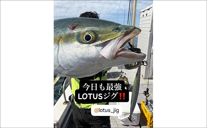 和歌山サゴシゲーム最新情報【MCL】キャスティング＆ジギングで入れ食いタイムも！