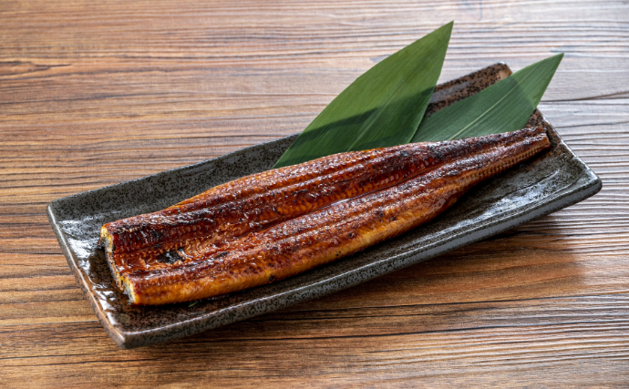 「安価な完全養殖ウナギ」がいよいよ市場へ流通！　社会への予想される影響とは