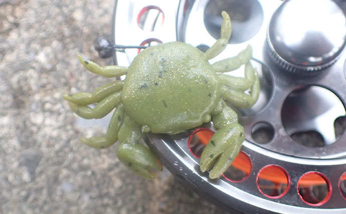 「見えてる魚でも釣れた！」汐見運河での落とし込み釣りでクロダイGET【東京】