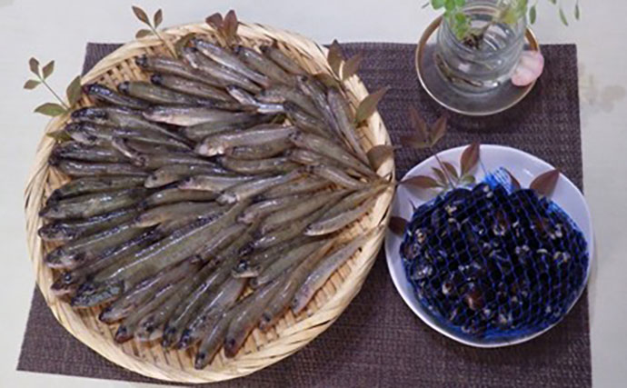 「ベテラン釣り師が推薦！」千葉県・茨城県のおすすめハゼ釣り場11選