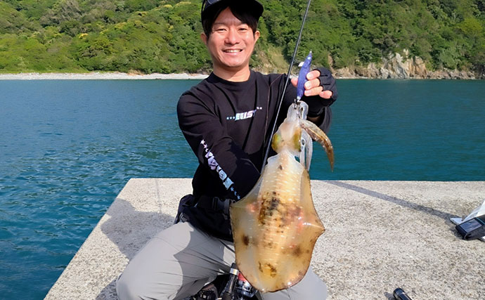 「一年で最も大物が釣りやすい季節！」 春エギング入門解説【タックル・エギ・ポイント】