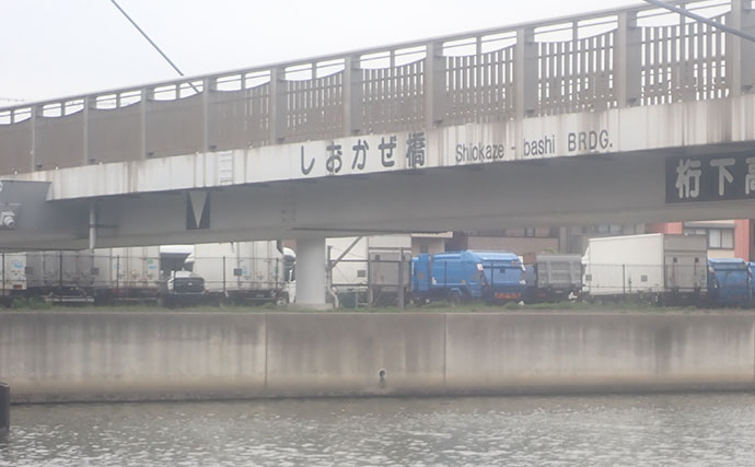 「見えてる魚でも釣れた！」汐見運河での落とし込み釣りでクロダイGET【東京】