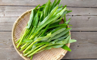 最も厄介な侵略的外来生物は水草だった　人気の野菜で駆逐する試みがスター…