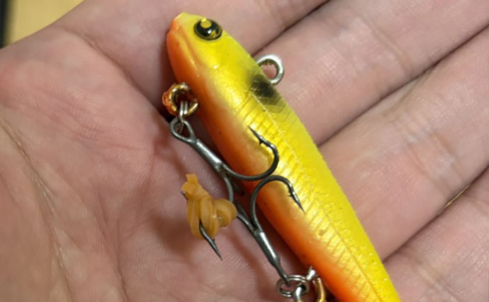 中古ルアー購入の「リスク」を解説　購入前後で確認＆注意すべきこととは？