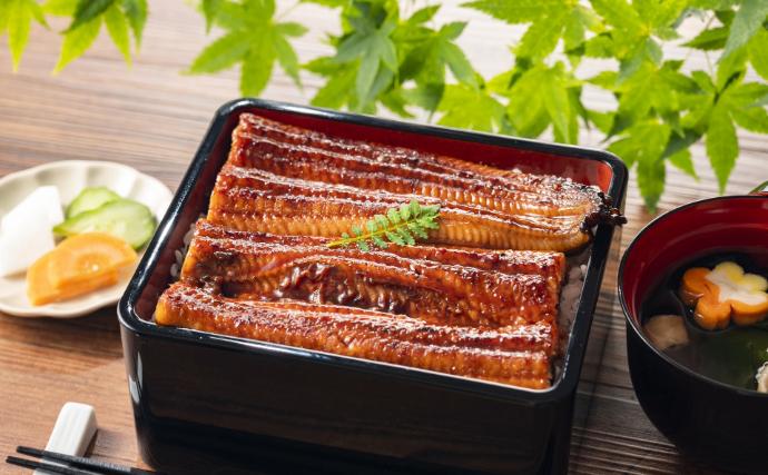 「安価な完全養殖ウナギ」がいよいよ市場へ流通！　社会への予想される影響とは