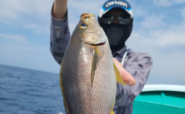見老津での天びんカゴフカセ釣りでキンムロにジャンボイサギ好捕【黒龍丸・…