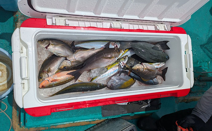 見老津での天びんカゴフカセ釣りでキンムロにジャンボイサギ好捕【黒龍丸・和歌山】