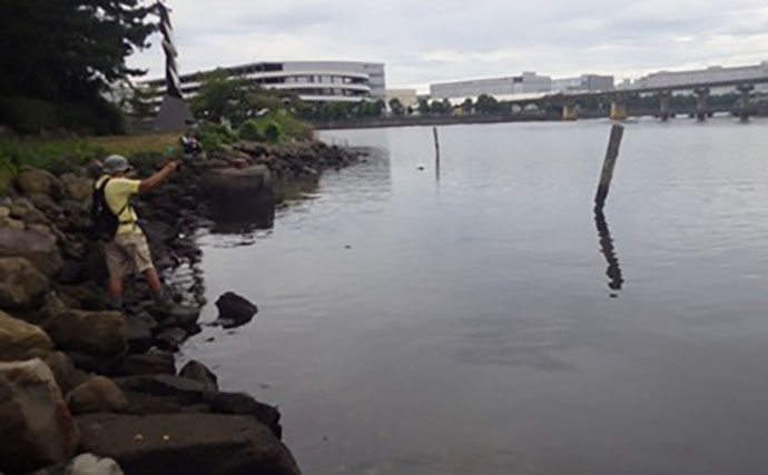 「東京都内でハゼ釣りを楽しもう！」 おすすめハゼ釣り場7選を徹底紹介【東京】