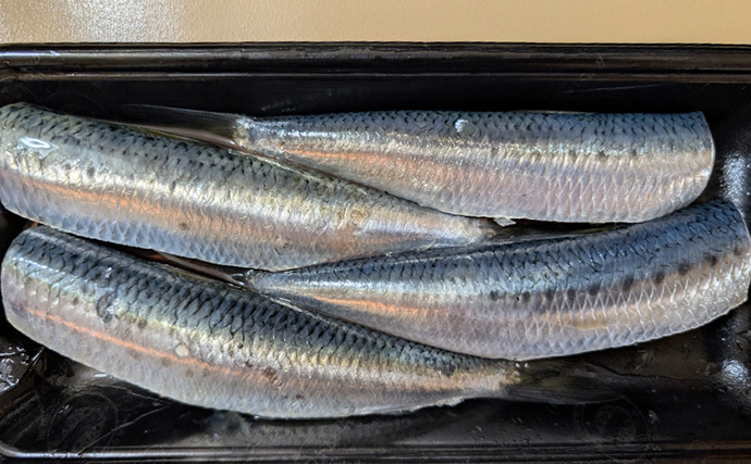 釣魚で作る「キリッと冷えた白ワインに合う」レシピ：マイワシのマリネ