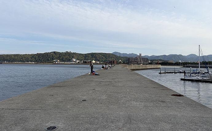 淡路島・堤防釣りレポート　夕マヅメのウキサビキ釣りでアジ15匹手中！