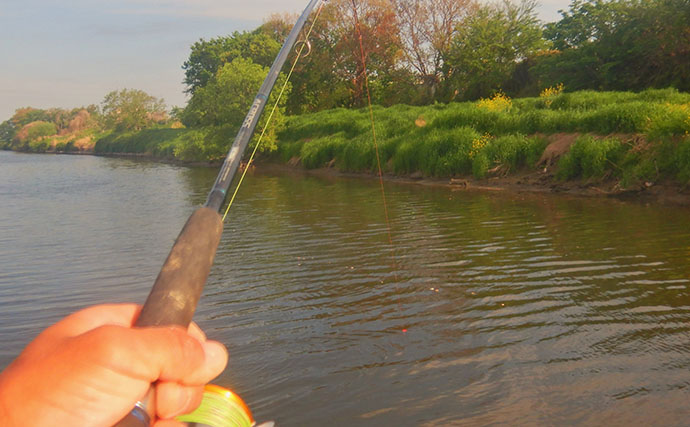 「食パンにメーター超え大型魚がヒット！」河川でのウキ釣りで105cmソウギョ手中【埼玉】