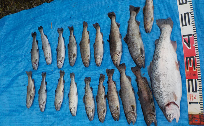 桂川での渓流エサ釣りで50cm良型ニジマスを手中【山梨】ヤマメも良型中心にヒット
