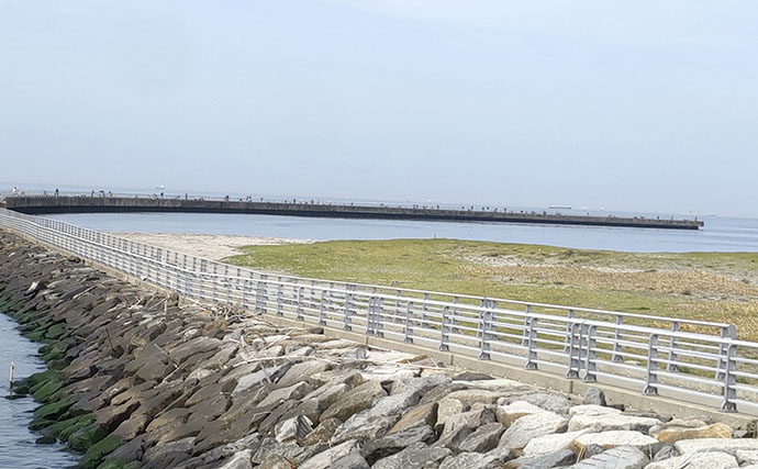 『検見川浜の突堤』でのサビキ釣りでカタクチイワシ発見！【千葉】